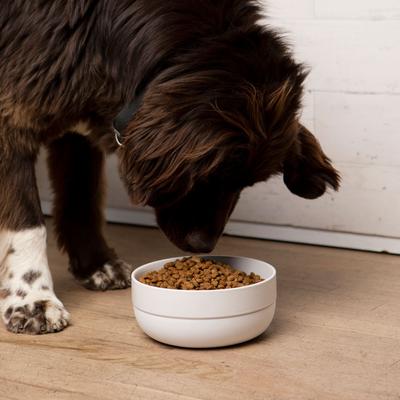 Show full view: Waggo Cling Non-Skid Silicone Bottom Dog & Cat Bowl, White, Small, 4-cup slide 4 of 7