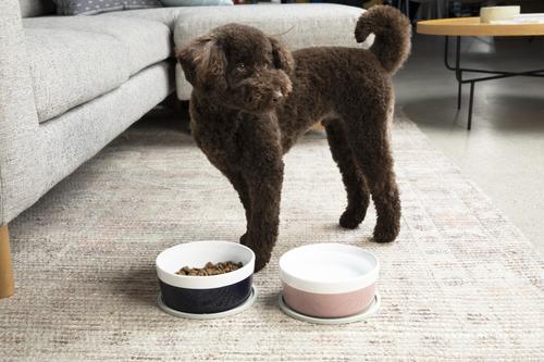 Show full view: Waggo Dipper Ceramic Dog & Cat Bowl, Black, 4-cup slide 4 of 6