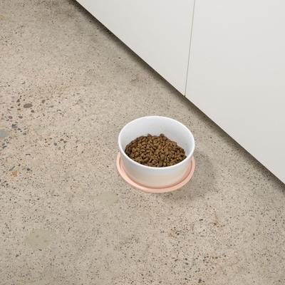 Show full view: Waggo Dipper Ceramic Dog & Cat Bowl, Buttercream, 4-cup slide 4 of 7