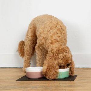 Waggo Dipper Ceramic Dog & Cat Bowl, Mauve, Medium, 4-cup