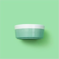 Waggo Dipper Ceramic Dog & Cat Bowl, Mint, 8-cup slide 2 of 5