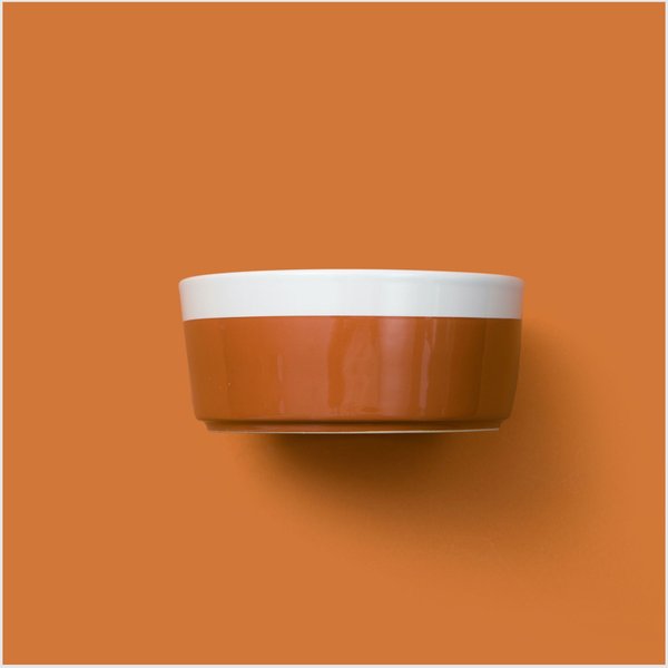 Waggo Dipper Ceramic Dog & Cat Bowl