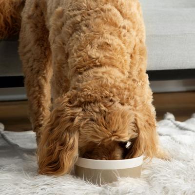 Show full view: Waggo Dipper Ceramic Dog & Cat Bowl, Vintage Grey, 8-cup slide 5 of 8