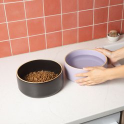 Waggo Edge Ceramic Dog & Cat Bowl, Black, 4-cup slide 2 of 4