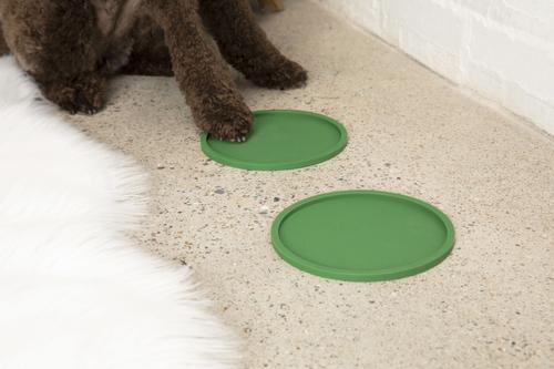 Show full view: Waggo Habit Circle Silicone Dog & Cat Placemat, 2 count, Forest Green, Medium slide 2 of 5