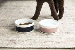 Waggo Habit Circle Silicone Dog & Cat Placemat, 2 count, Light Grey, Large slide 2 of 4