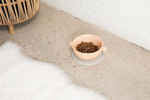 Show full view: Waggo Habit Circle Silicone Dog & Cat Placemat, 2 count, Light Grey, Medium slide 4 of 6