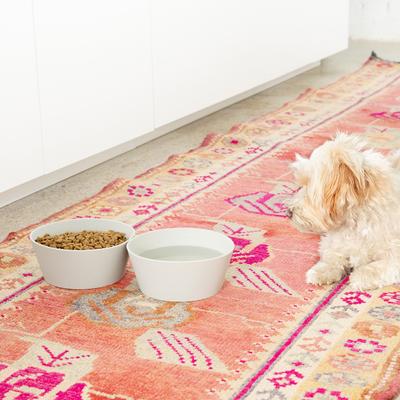 Show full view: Waggo Habit Non-Skid Silicone Cat & Dog Bowl, Medium, Light Grey, 4-cup slide 3 of 5