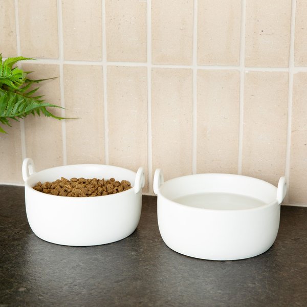Waggo Handle It Ceramic Cat & Dog Bowl, White, Medium