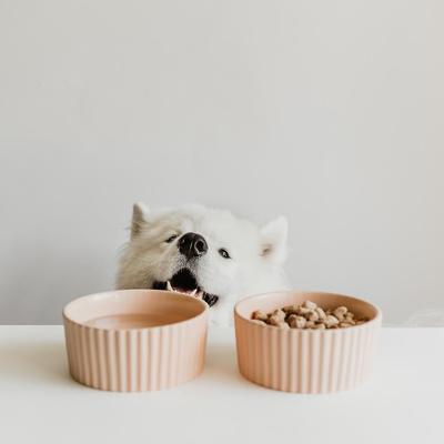 Show full view: Waggo Ripple Ceramic Dog Bowl, Cloud, 4-cup slide 3 of 5