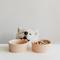 Show in main carousel: Waggo Ripple Ceramic Dog Bowl, Rose, 4-cup slide 3 of 4