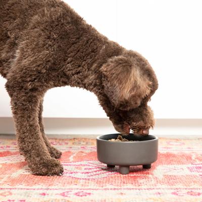 Show full view: Waggo Uplift Elevated Ceramic Cat & Dog Bowl, Black, Large, 8-cup slide 3 of 9