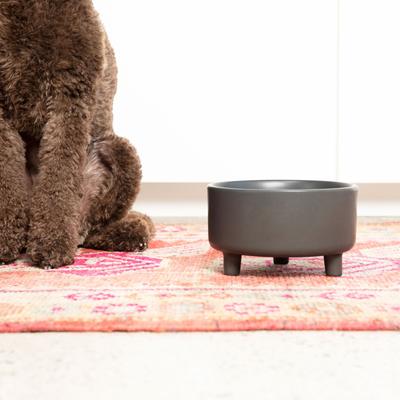 Show full view: Waggo Uplift Elevated Ceramic Cat & Dog Bowl, Black, Large, 8-cup slide 4 of 9