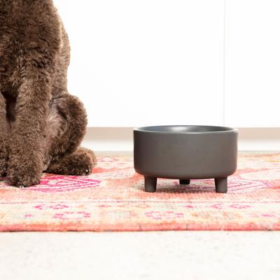 Show full view: Waggo Uplift Elevated Ceramic Cat & Dog Bowl, Black, Medium, 4-cup slide 4 of 9