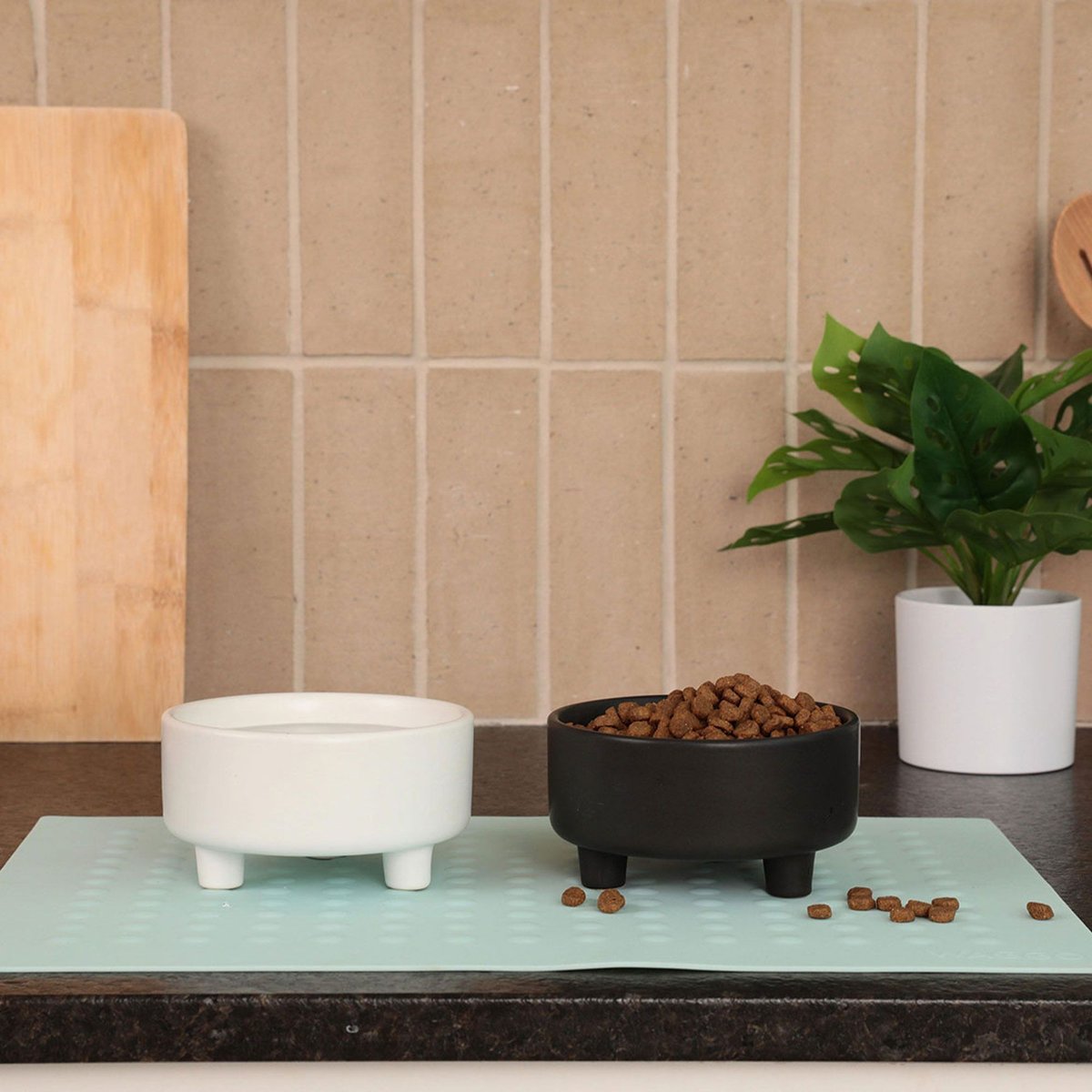 Waggo Uplift Elevated Ceramic Cat & Dog Bowl