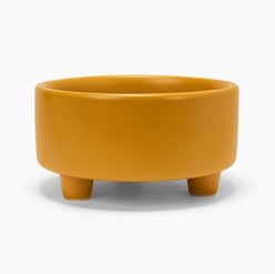 Waggo Uplift Elevated Ceramic Cat & Dog Bowl, Mustard, Large: 8-cup