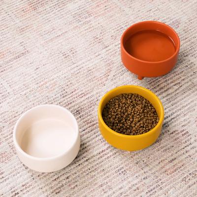 Show full view: Waggo Uplift Elevated Ceramic Cat & Dog Bowl, Teracotta, Large, 8-cup slide 2 of 7