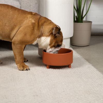 Show full view: Waggo Uplift Elevated Ceramic Cat & Dog Bowl, Teracotta, Large, 8-cup slide 4 of 7