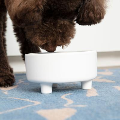 Show full view: Waggo Uplift Elevated Ceramic Cat & Dog Bowl, White, Large, 8-cup slide 4 of 10