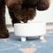 Show in main carousel: Waggo Uplift Elevated Ceramic Cat & Dog Bowl, White, Medium, 4-cup slide 3 of 9