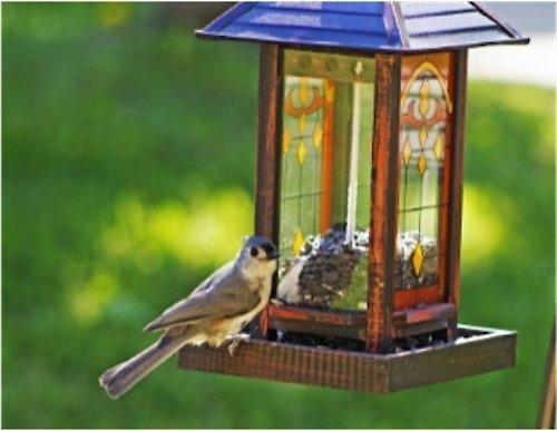 Show full view: Wagner's 100% Striped Sunflower Seed Wild Bird Food, 5-lb bag slide 4 of 9