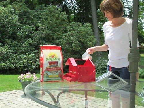 Show full view: Wagner's Cardinal Blend Premium Wild Bird Food, 6-lb bag slide 5 of 9