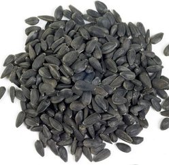 Wagner's Four Season 100% Black Oil Sunflower Seed Wild Bird Food, 40-lb bag slide 2 of 4