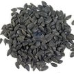 Show in main carousel: Wagner's Four Season 100% Black Oil Sunflower Seed Wild Bird Food, 40-lb bag slide 3 of 6