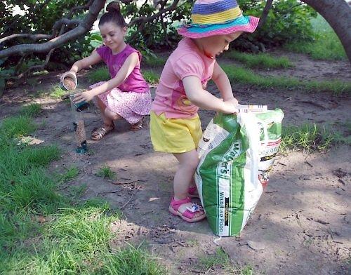 Show full view: Wagner's Four Season Wild Bird Food, 10-lb bag slide 4 of 6