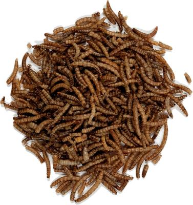 Show full view: Wagner's Mealworms Wild Bird Food, 18-oz bag slide 3 of 7