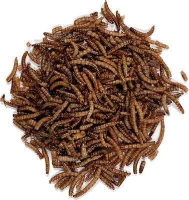 Show full view: Wagner's Mealworms Wild Bird Food, 7-oz bag slide 3 of 7