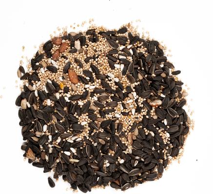 Show full view: Wagner's Songbird Supreme Premium Wild Bird Food, 8-lb bag slide 3 of 7