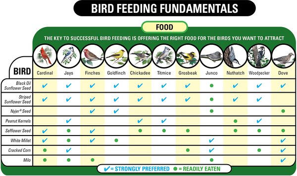 Show full view: Wagner's Sunflower Hearts & Chips Premium Wild Bird Food, 6-lb bag slide 4 of 7