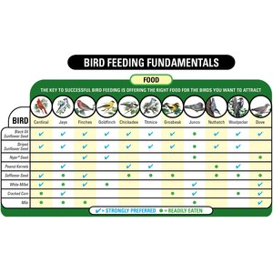 Wagner's Sunflower Hearts & Chips Premium Wild Bird Food, 6-lb bag