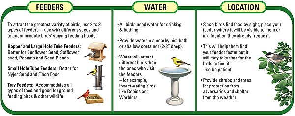Show full view: Wagner's Sunflower Hearts & Chips Premium Wild Bird Food, 6-lb bag slide 5 of 7