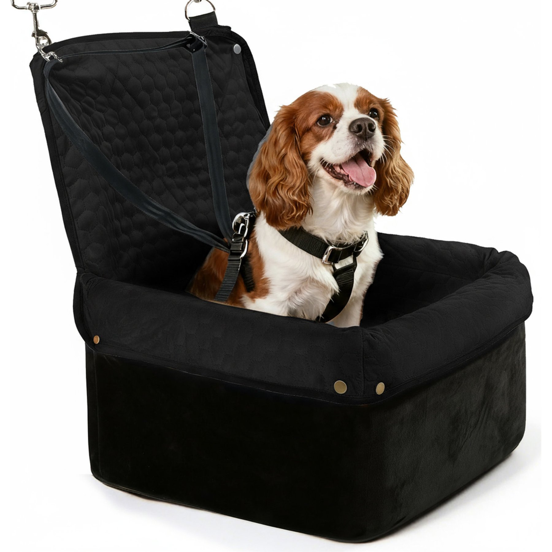 Wagora Automobile Dog Booster Car Seat with Removable Waterproof Cover, Black