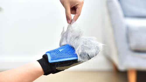 Show full view: Wags & Wiggles Dual Sided with Rubber Paw Dog Grooming Glove, 1 count slide 6 of 6