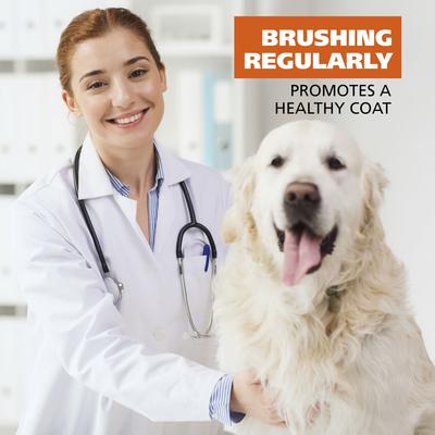 Show full view: Wahl 2-in-1 Double Row Rake Dog & Cat Deshedding Tool slide 7 of 8