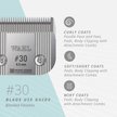 Show in main carousel: Wahl #30 Prime Series Pet Grooming Blade Set, Chrome slide 5 of 7