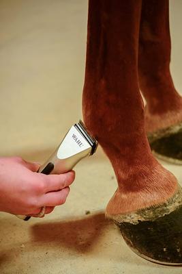 Show full view: Wahl Arco Cordless Horse Clipper, Champagne slide 5 of 9