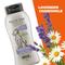 Show in main carousel: Wahl Four In One Calming Dog Shampoo, Lavender Scent, 24-fl oz bottle slide 6 of 10