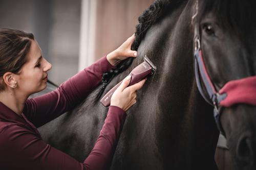 Show full view: Wahl KM Supera Horse Clipper, Burgundy slide 6 of 9