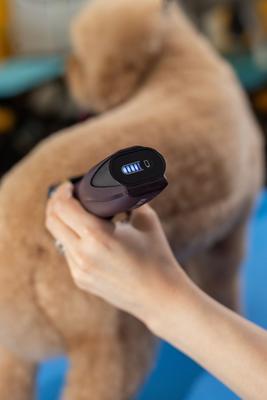 Show full view: Wahl KM Supera Pro Dog & Cat Grooming Clipper, Burgundy slide 9 of 13