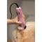 Show in main carousel: Wahl KM2+ Professional Corded Pet Hair Clipper Kit slide 9 of 11