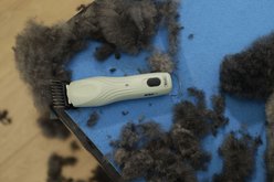 Wahl KMC+ Pet Clipper, Sage slide 2 of 7