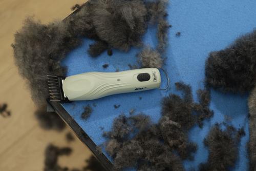 Show full view: Wahl KMC+ Pet Clipper, Sage slide 3 of 9