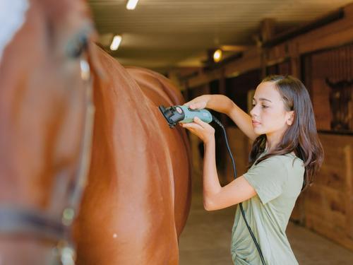 Show full view: Lister Star Horse Body Clipper, Green slide 4 of 9
