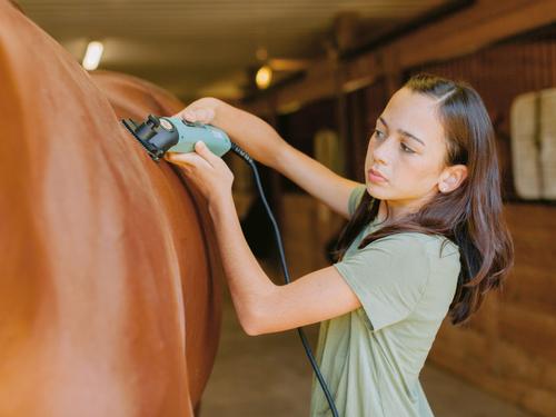 Show full view: Lister Star Horse Body Clipper, Green slide 5 of 9