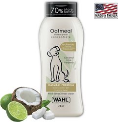 Wahl Oatmeal Anti-Itch Soothing Coconut Lime Verbena Dog Shampoo, Frosted White/Gold, 24-fl oz bottl...