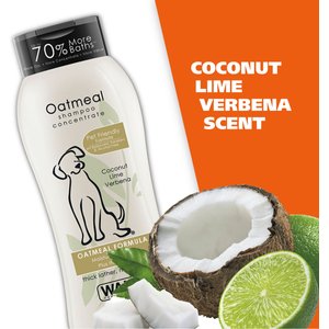 Wahl Oatmeal Formula Dog Shampoo, Coconut Lime Verbena Scent, 24-fl oz bottle